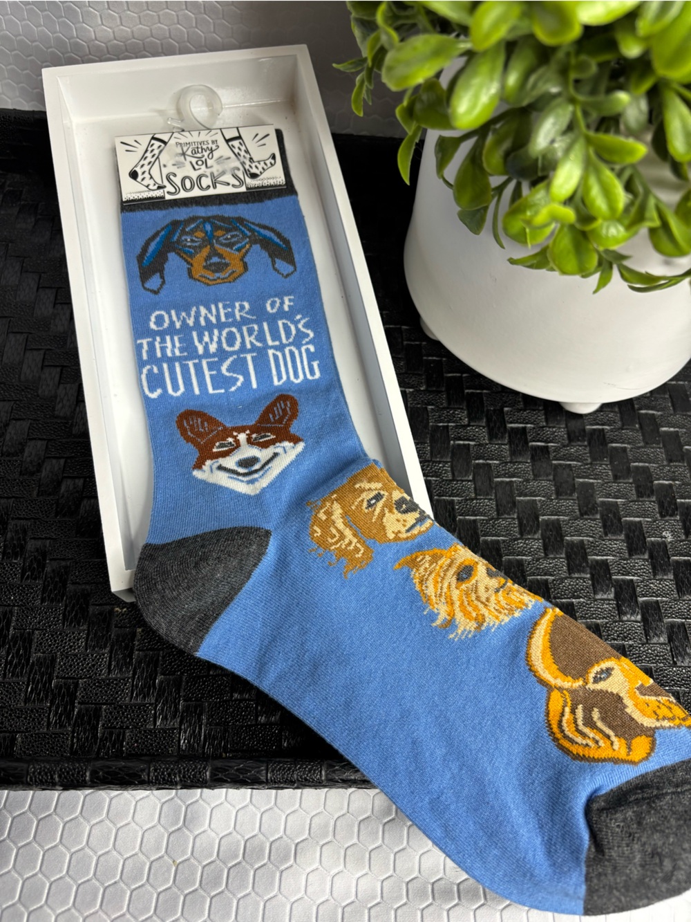 Primitives by Kathy Blue Novelty 'Owner of the World's Cutest Dog' Socks NWT